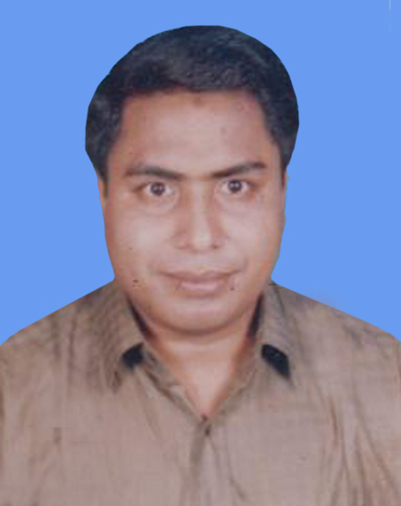 মোঃ জুলফিকার আলী
